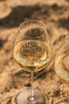 Verre à Champagne Eisch